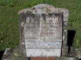 image of grave number 669536
